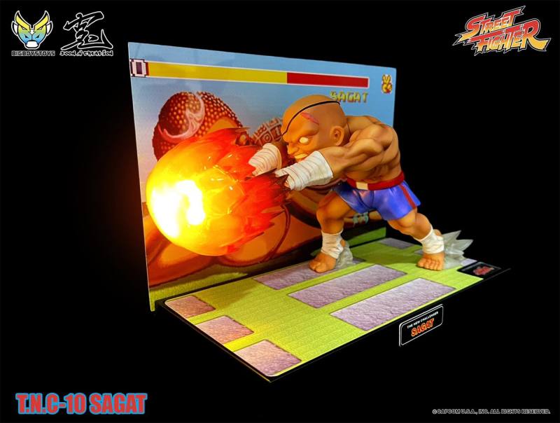 Street Fighter TNC-10 (The New Challenger) Sagat