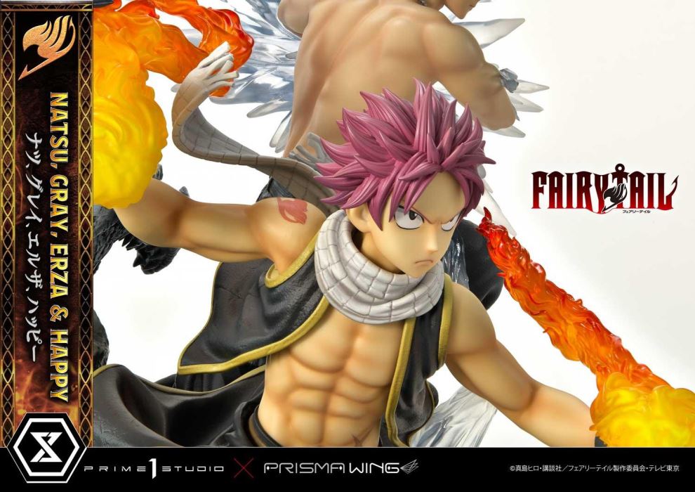 FAIRY TAIL NATSU, GRAY, ERZA AND HAPPY
