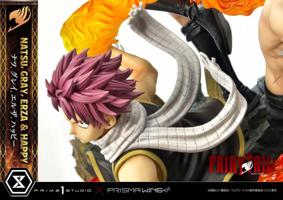 FAIRY TAIL NATSU, GRAY, ERZA AND HAPPY