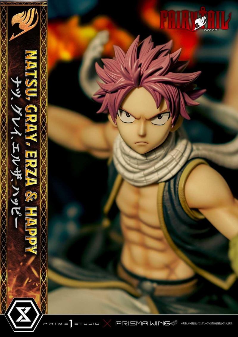FAIRY TAIL NATSU, GRAY, ERZA AND HAPPY DX