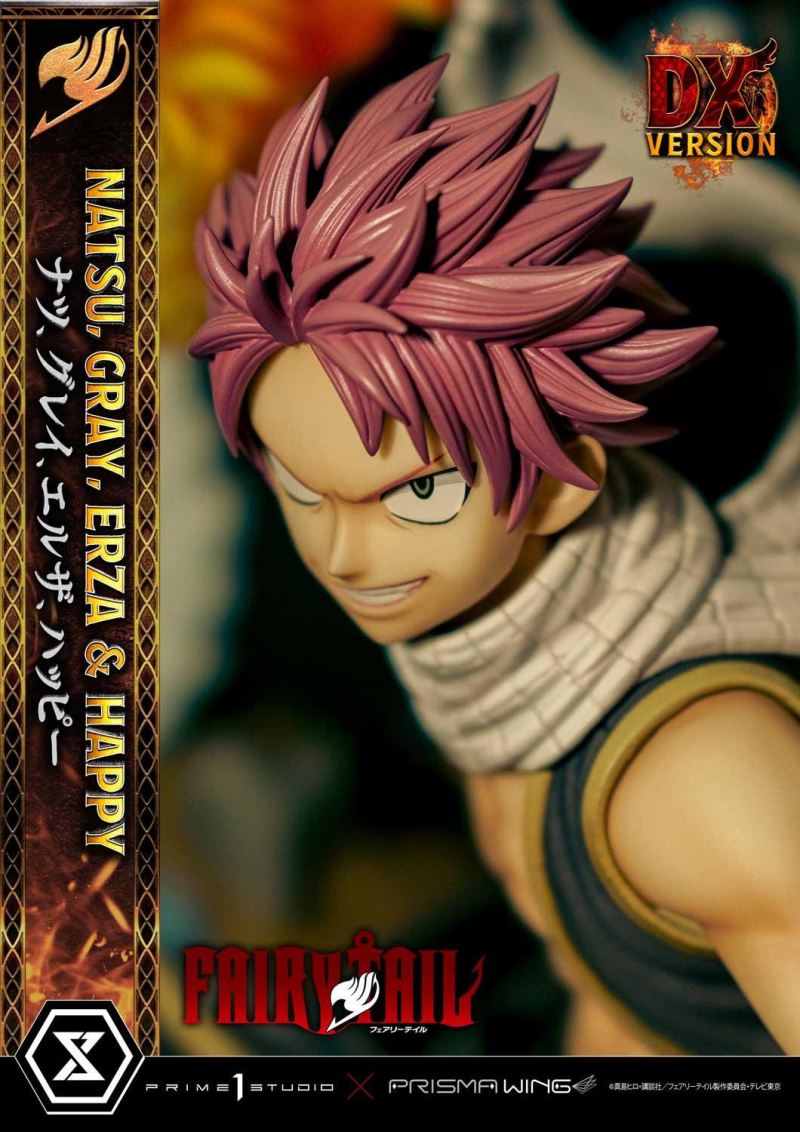 FAIRY TAIL NATSU, GRAY, ERZA AND HAPPY DX