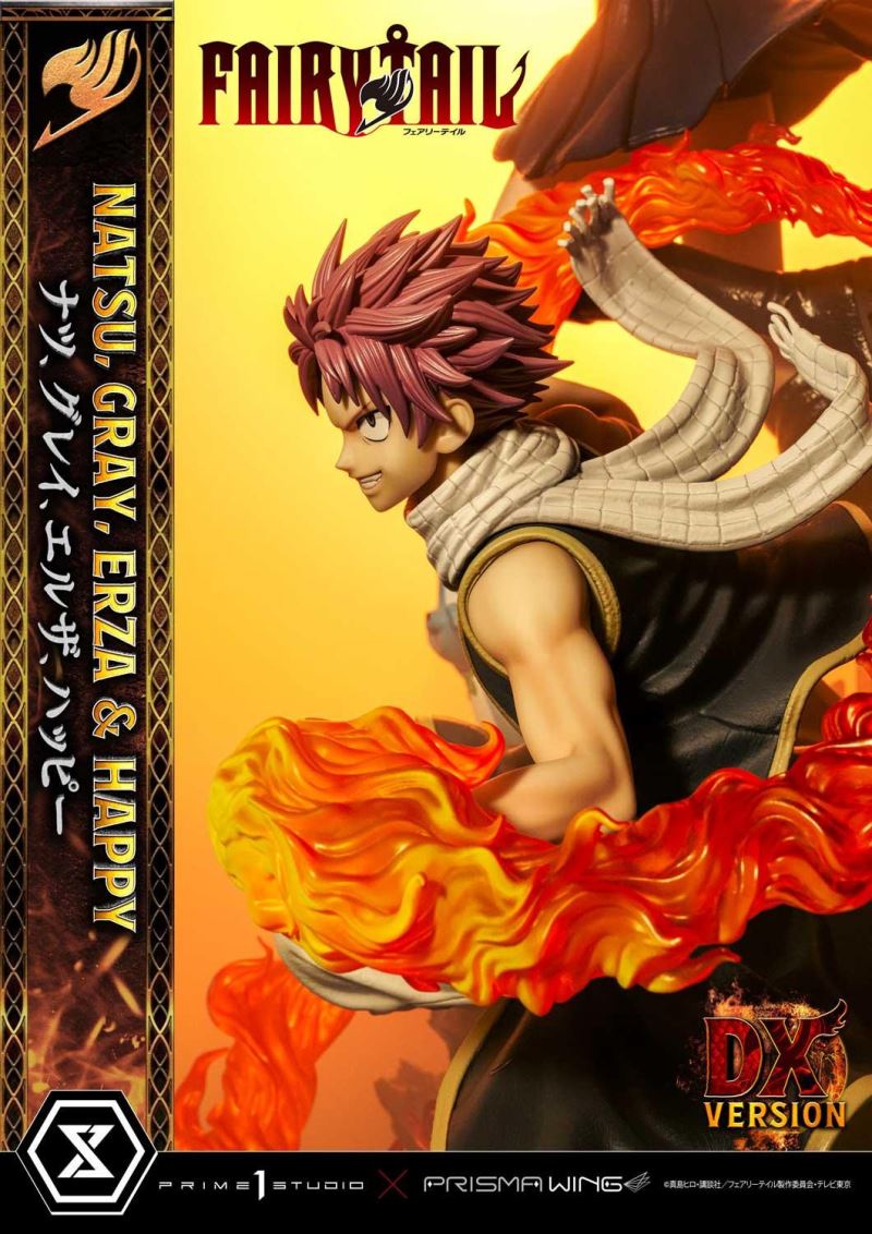 FAIRY TAIL NATSU, GRAY, ERZA AND HAPPY DX