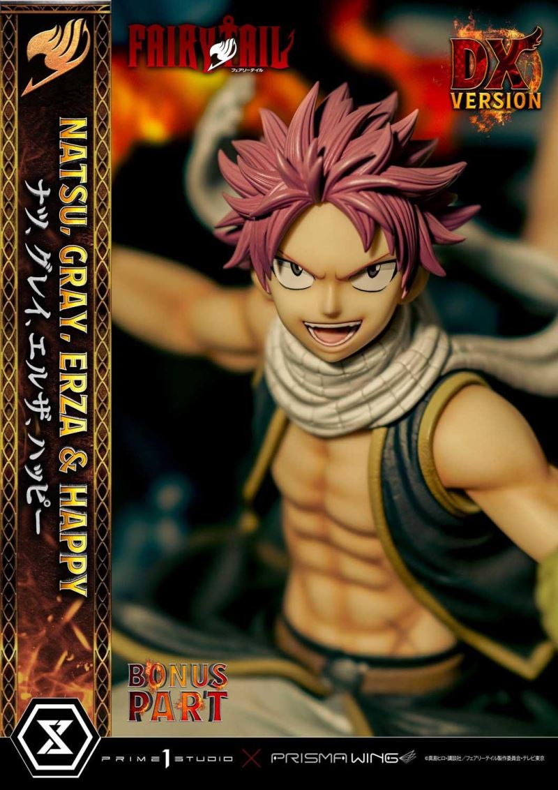 FAIRY TAIL NATSU, GRAY, ERZA AND HAPPY DX