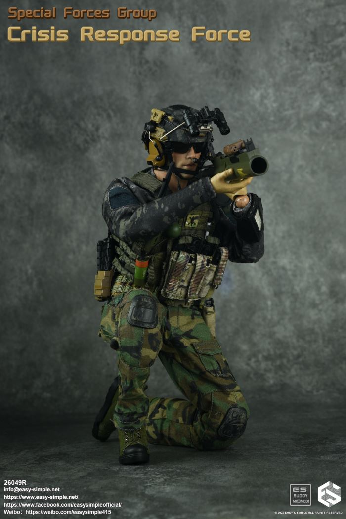 US SFG Green Beret Special Forces CRF 1/6