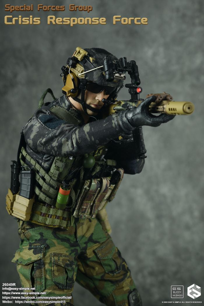 US SFG Green Beret Special Forces CRF 1/6