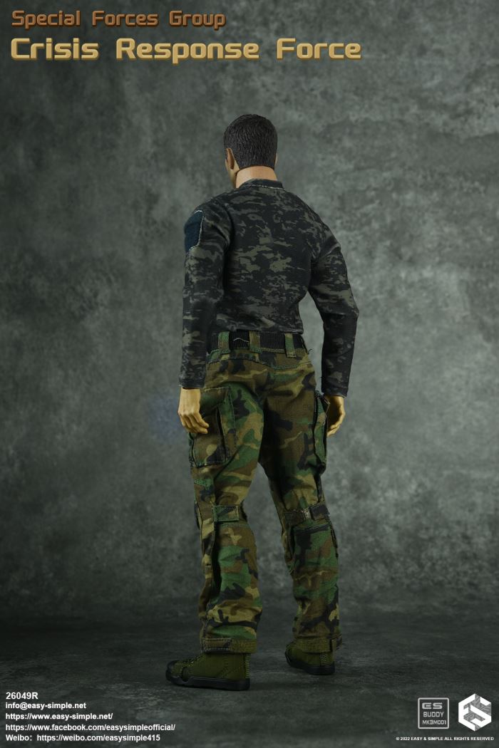 US SFG Green Beret Special Forces CRF 1/6