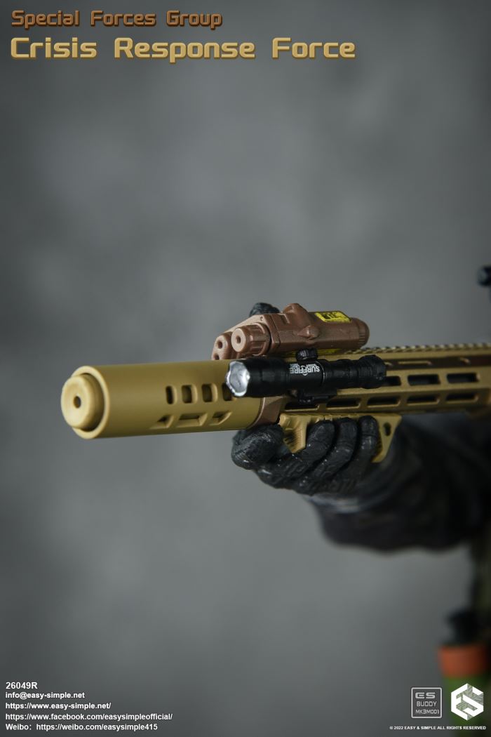 US SFG Green Beret Special Forces CRF 1/6