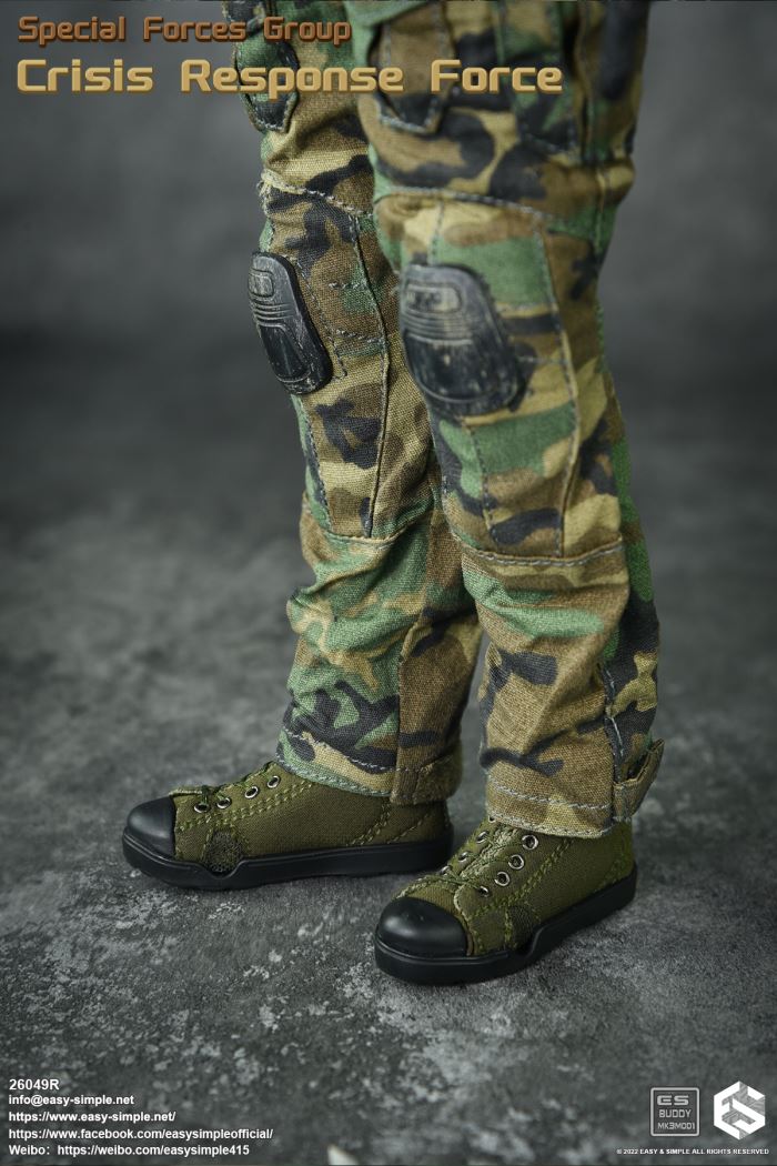 US SFG Green Beret Special Forces CRF 1/6