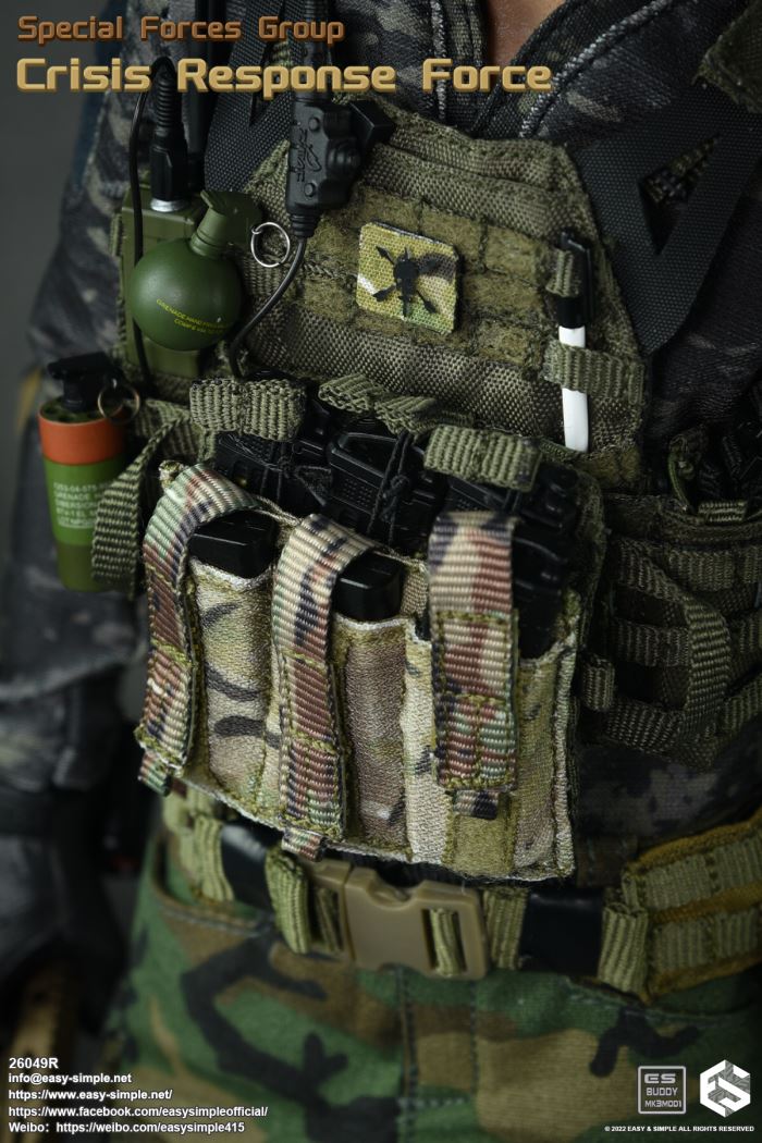 US SFG Green Beret Special Forces CRF 1/6