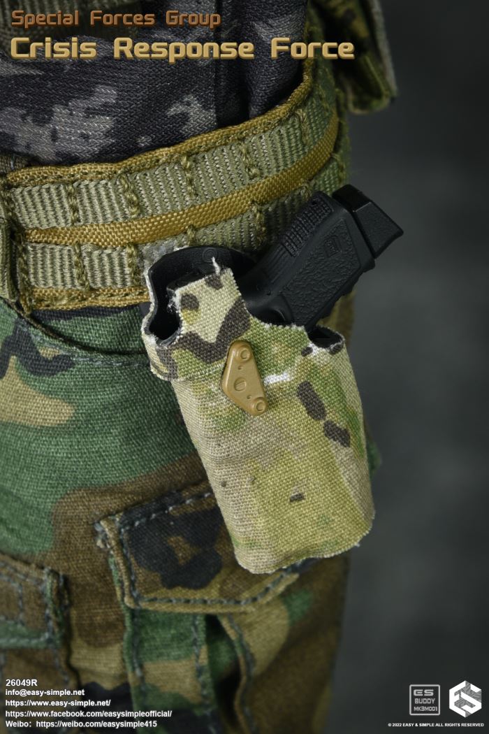 US SFG Green Beret Special Forces CRF 1/6