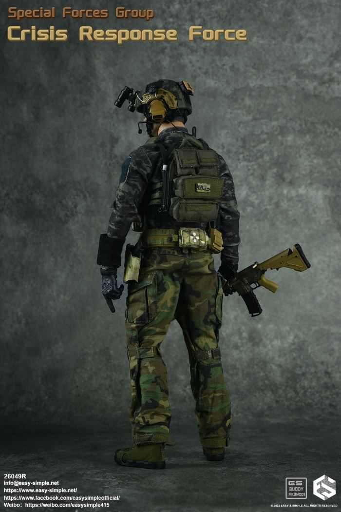 US SFG Green Beret Special Forces CRF 1/6
