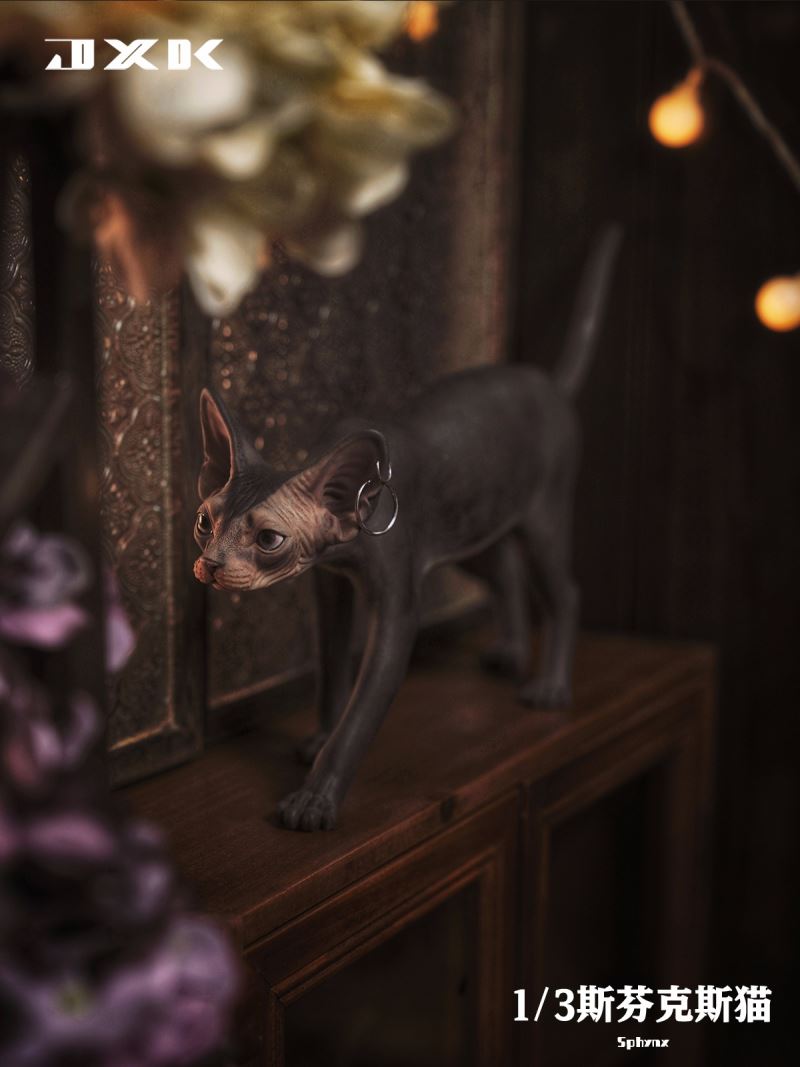 Sphynx 1/3