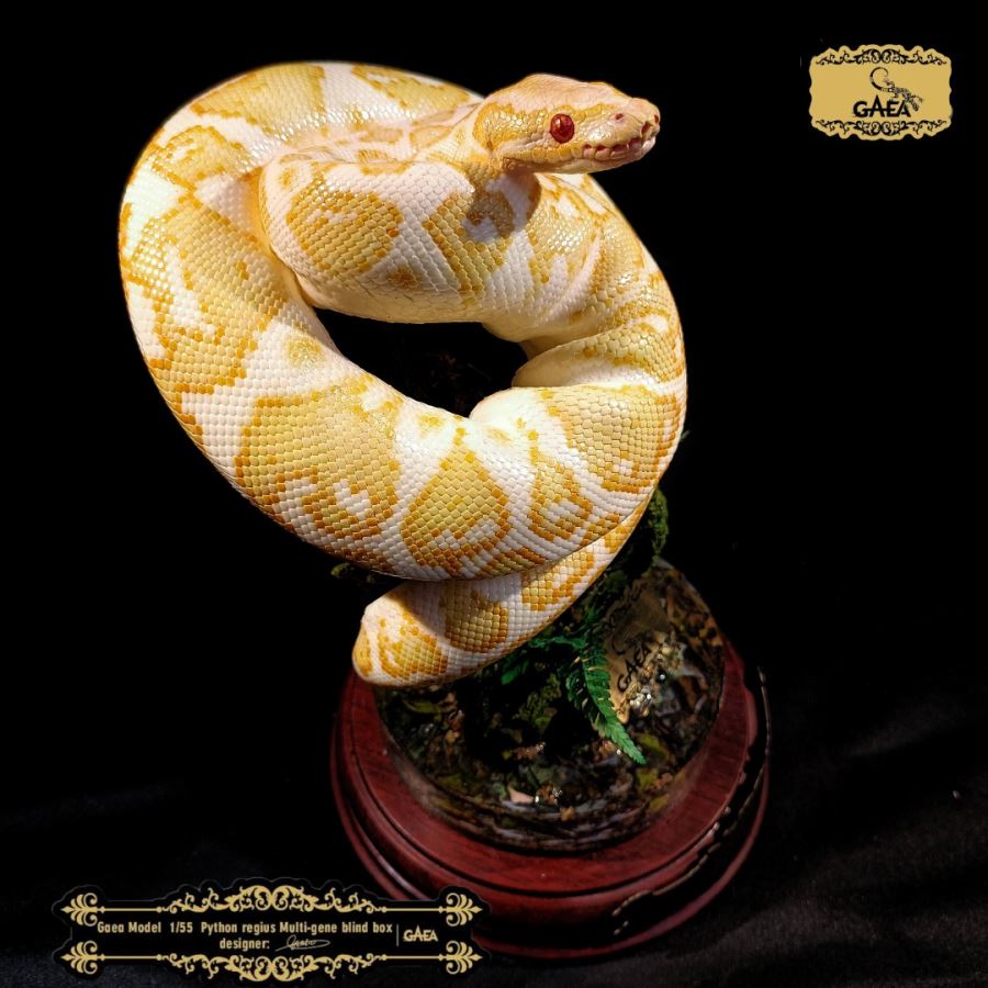 Ball python