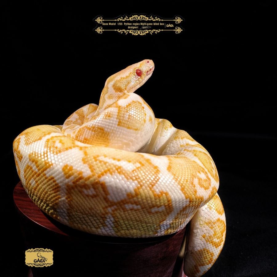 Ball python