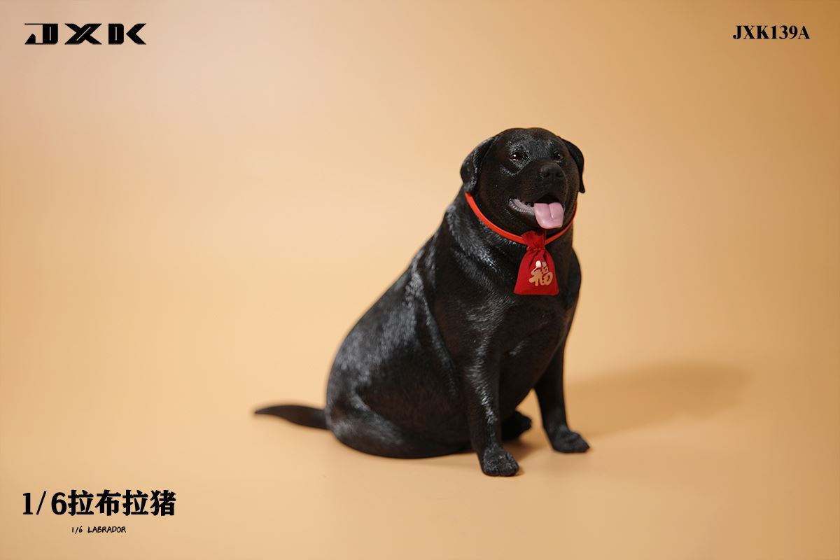 Labrador 1/6