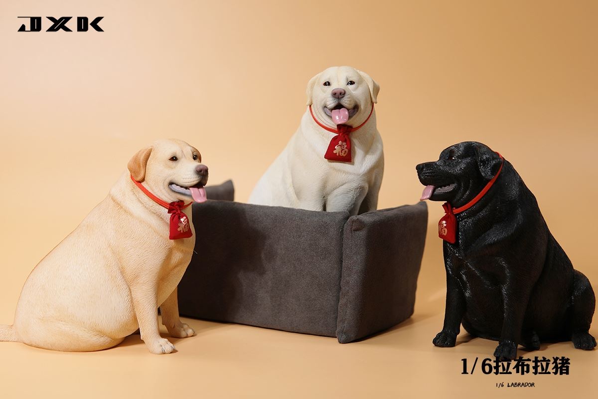 Labrador 1/6