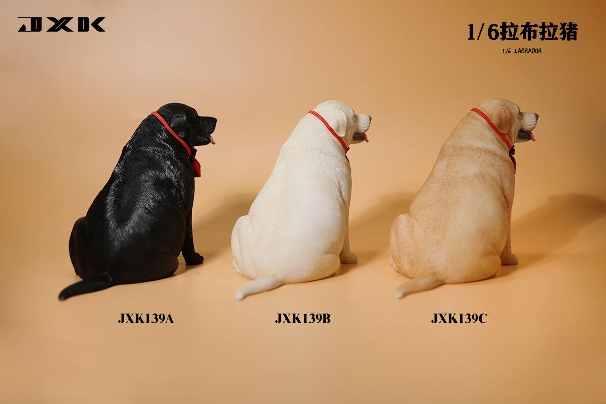 Labrador 1/6