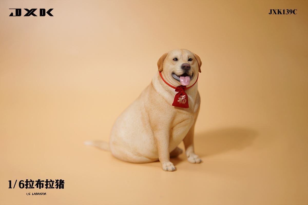 Labrador 1/6