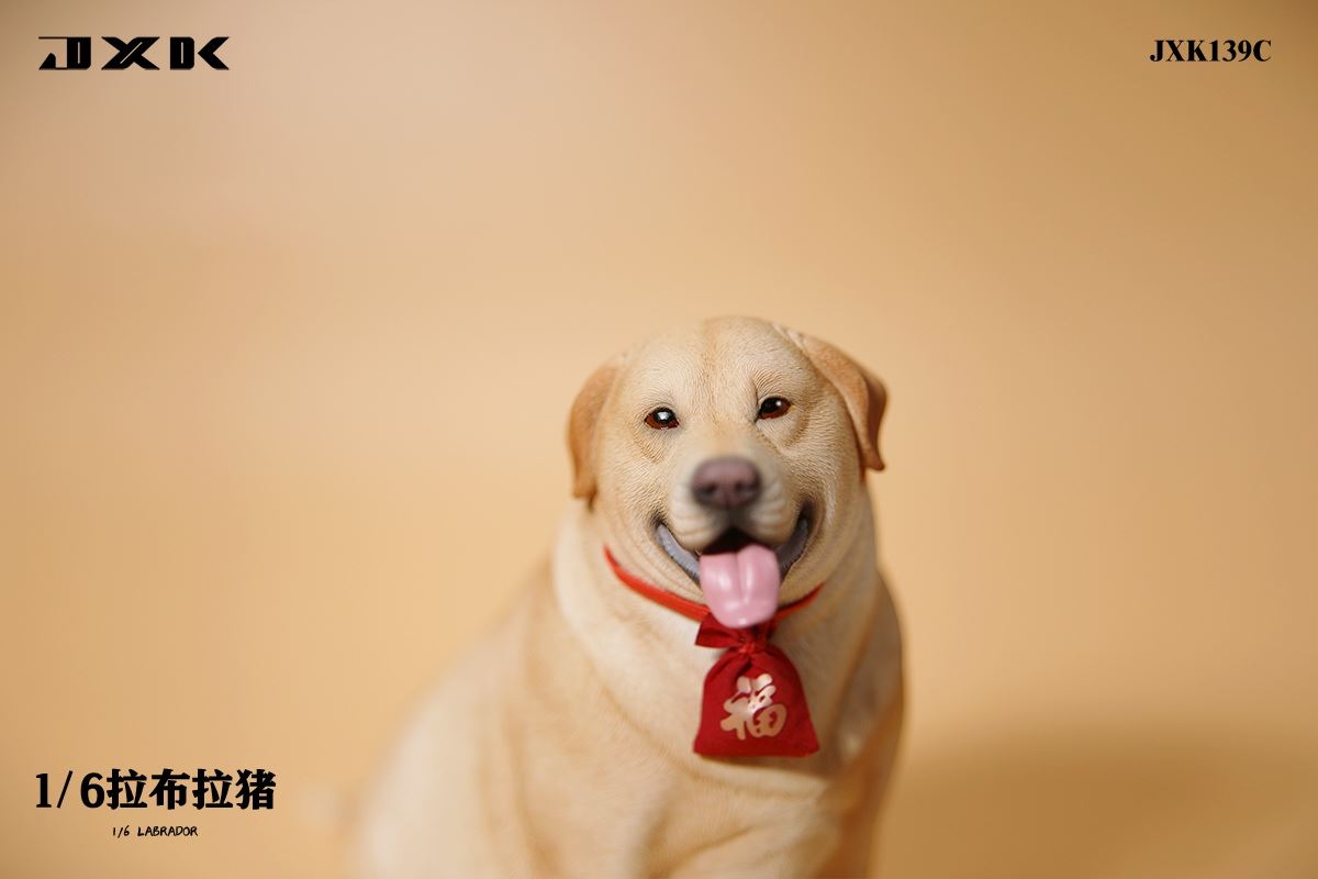 Labrador 1/6