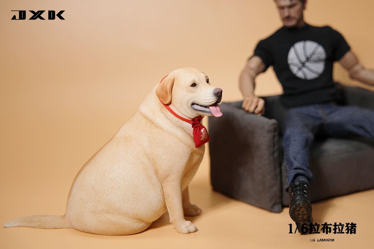 Labrador 1/6