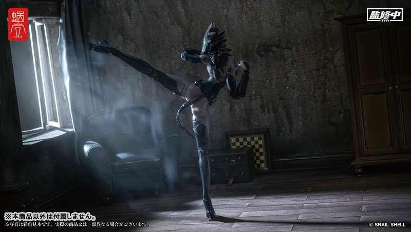 ASSASSIN 1/12