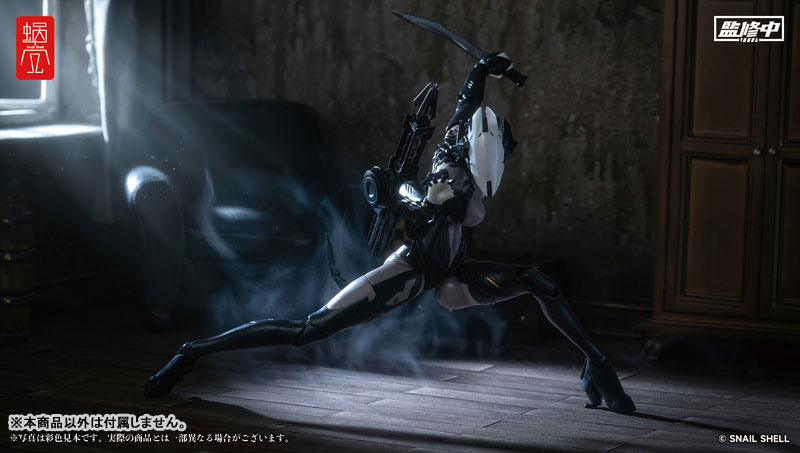 ASSASSIN 1/12