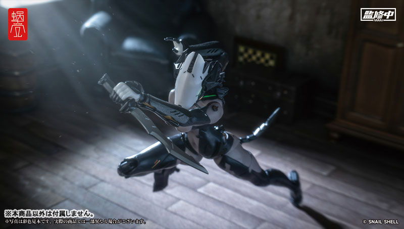 ASSASSIN 1/12