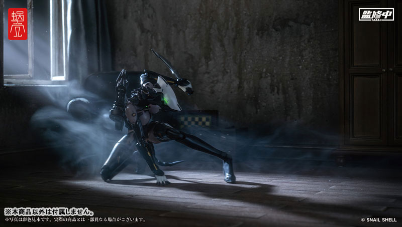 ASSASSIN 1/12