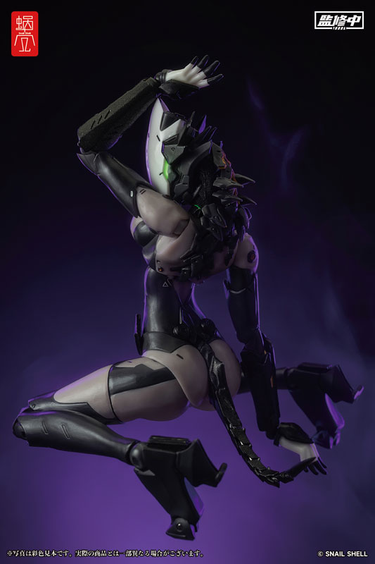 ASSASSIN 1/12