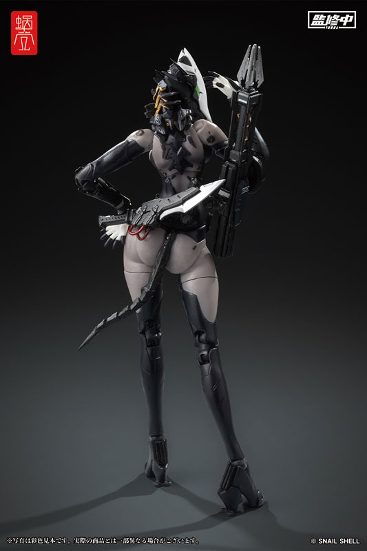 ASSASSIN 1/12
