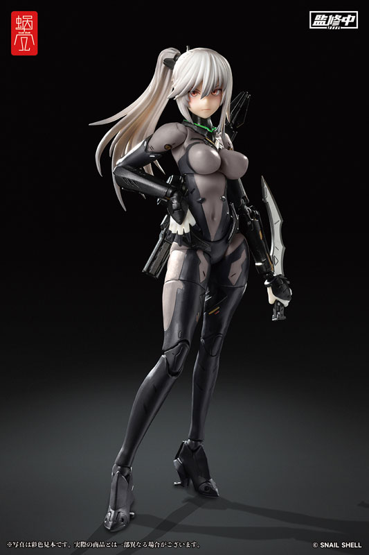 ASSASSIN 1/12