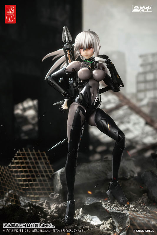 ASSASSIN 1/12