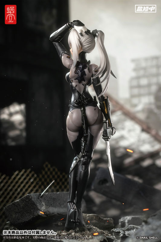 ASSASSIN 1/12