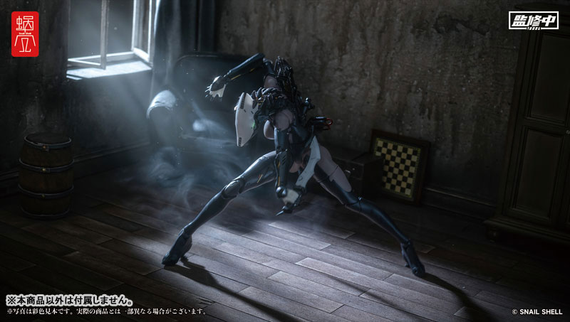 ASSASSIN 1/12