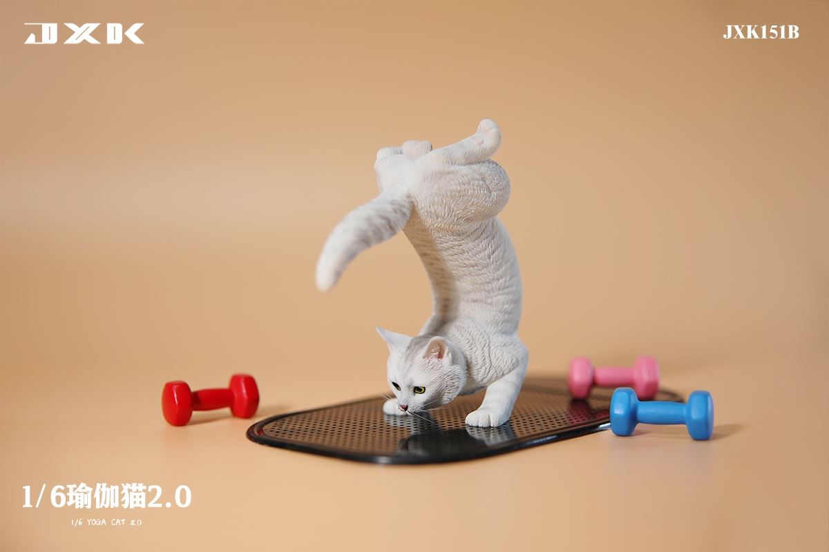 Yoga Cat 2.0 1/6