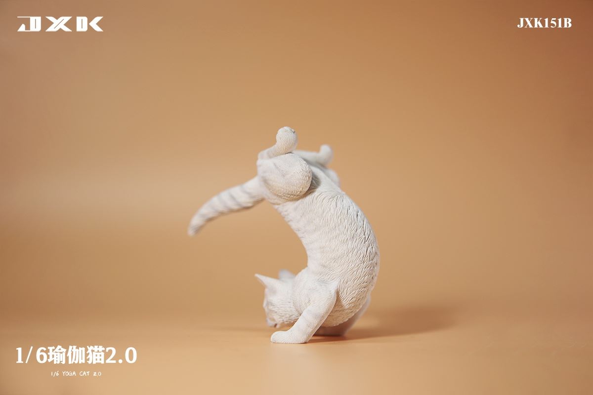 Yoga Cat 2.0 1/6