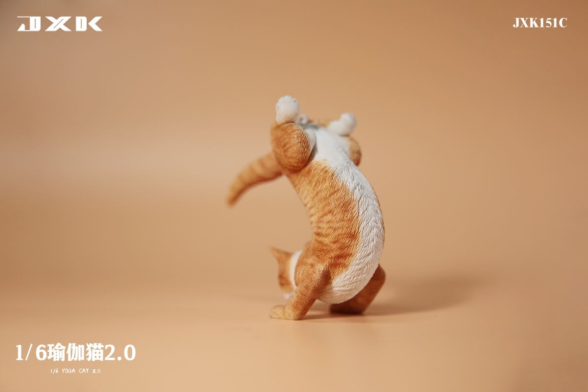 Yoga Cat 2.0 1/6