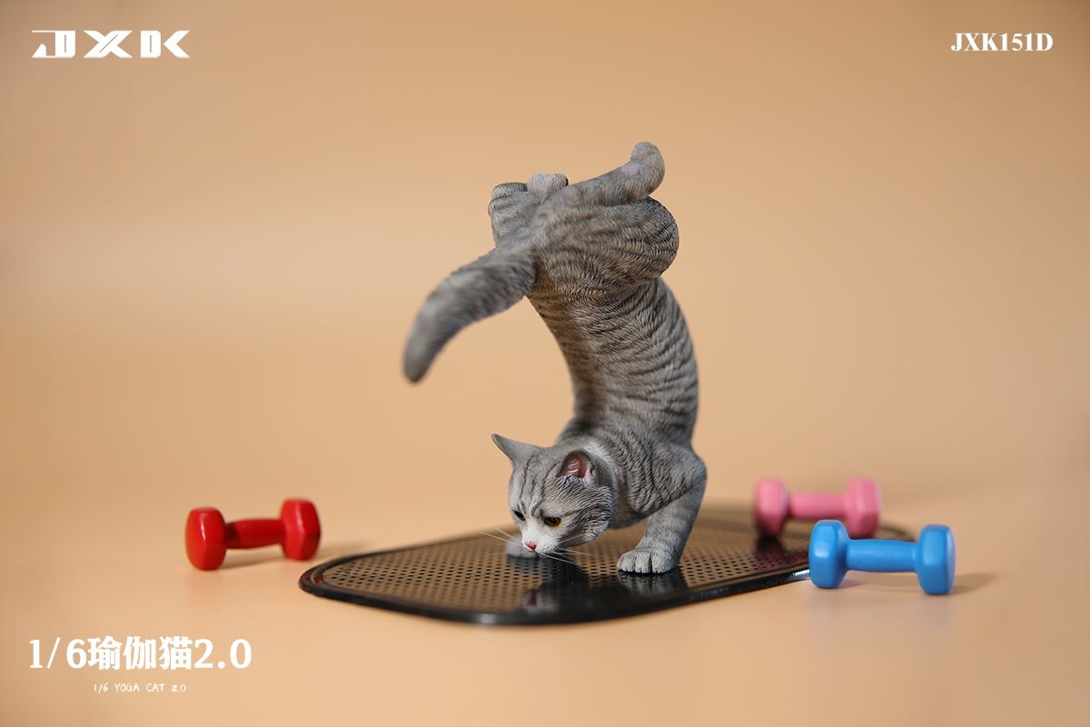 Yoga Cat 2.0 1/6