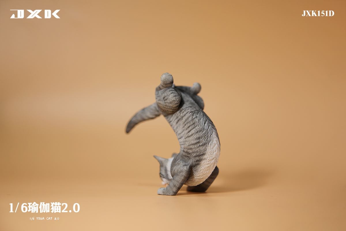 Yoga Cat 2.0 1/6