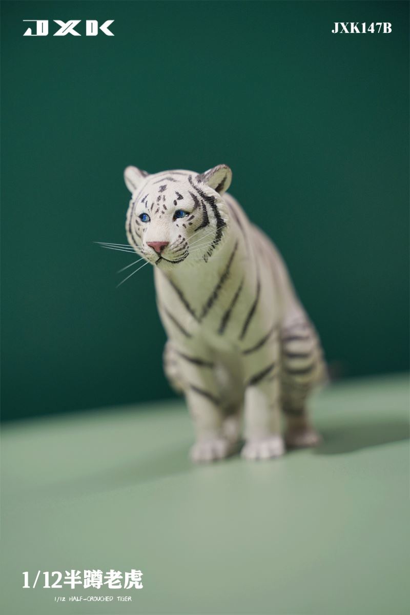 Half Squat Tiger 1/12