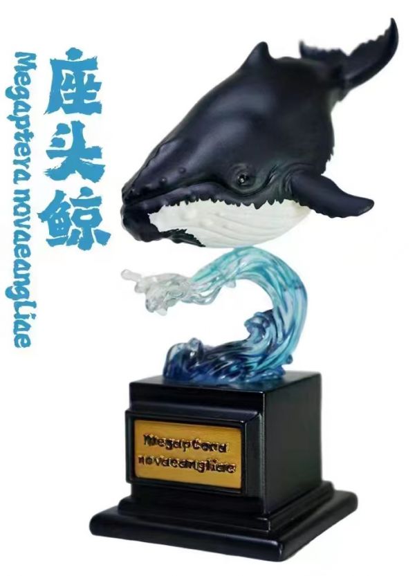 Ocean Collector Whale