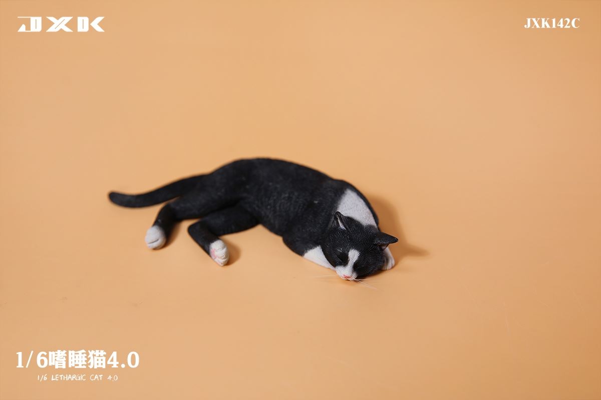 Sleepy Cat 4.0 (JXK142) 1/6