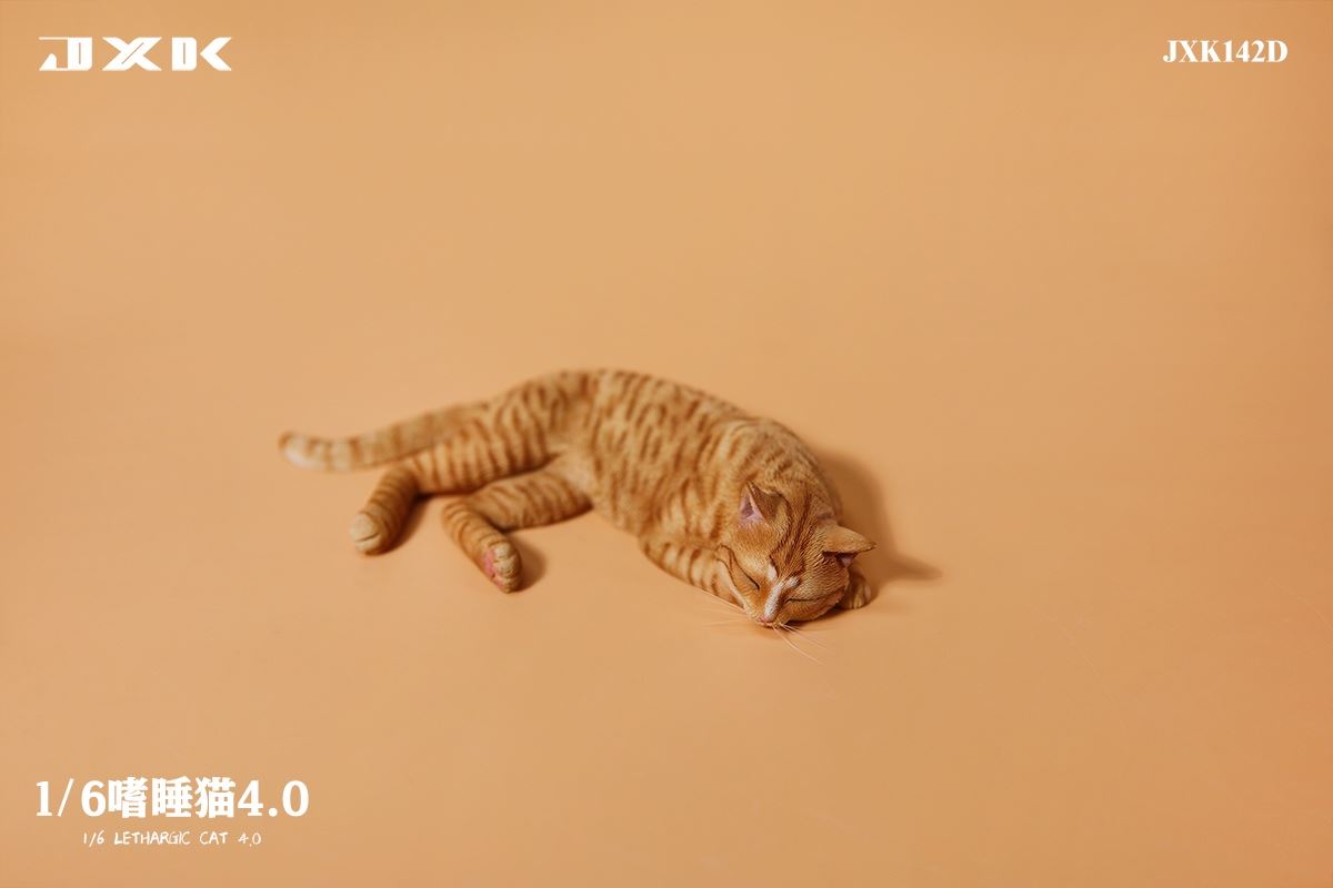 Sleepy Cat 4.0 (JXK142) 1/6