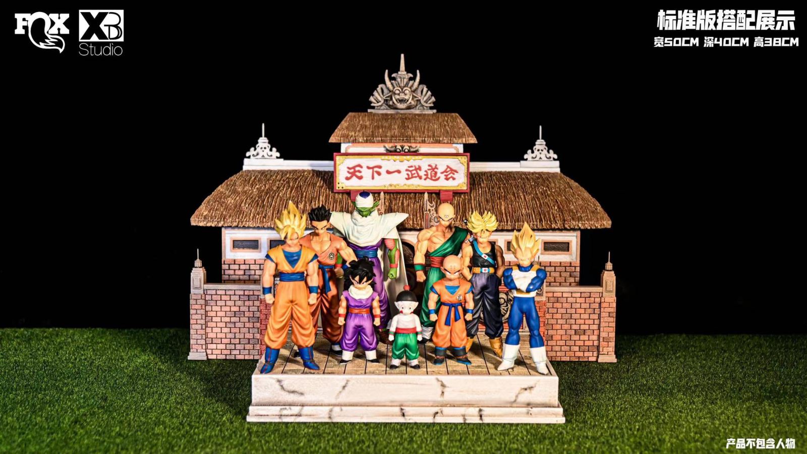 Scene of World Martial Arts Tournament - Dragon Ball