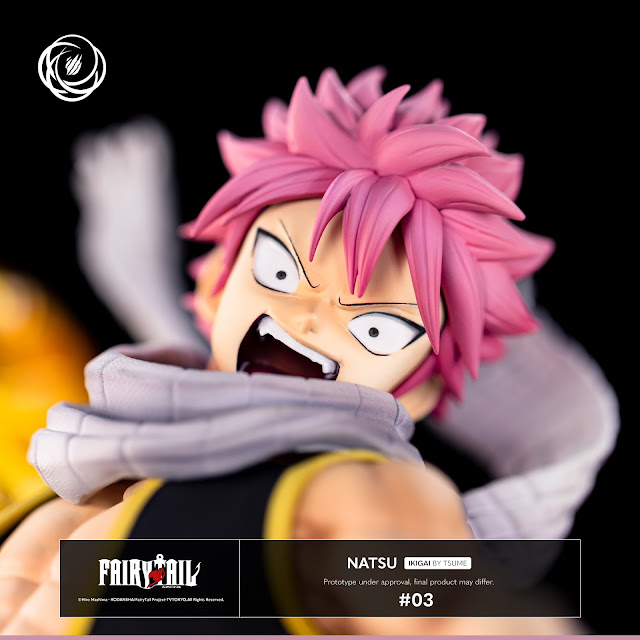 Fairy Tail - Natsu Dragneel IKIGAI 1/6