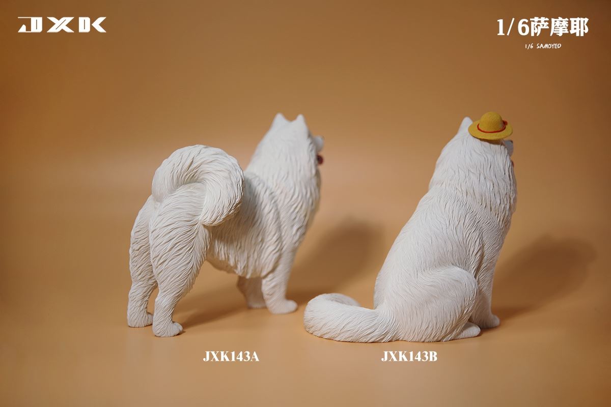 Samoyed (JXK143) 1/6