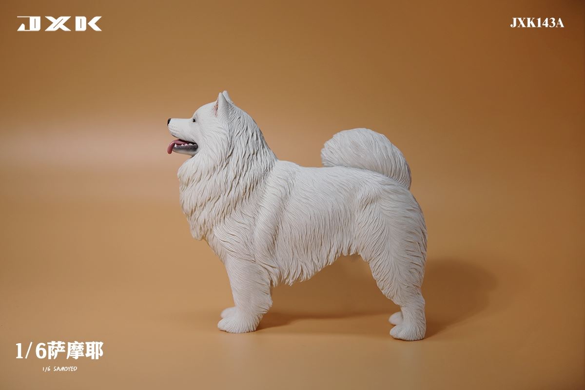 Samoyed (JXK143) 1/6