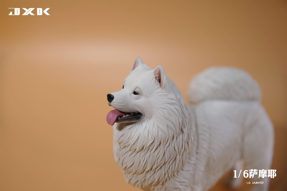 Samoyed (JXK143) 1/6