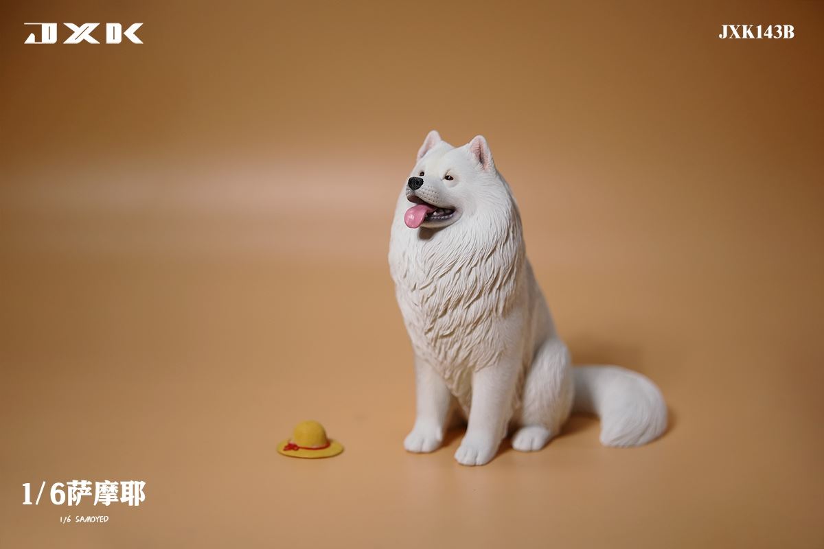 Samoyed (JXK143) 1/6