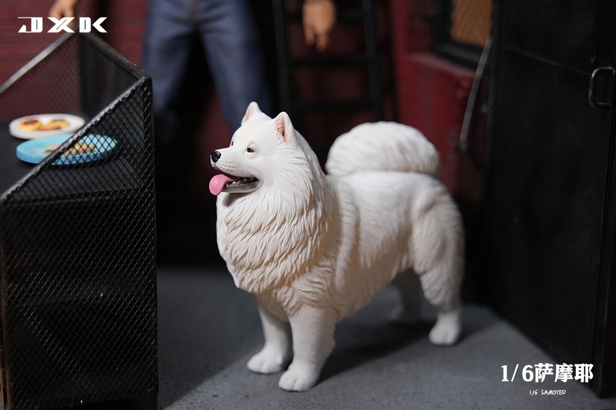 Samoyed (JXK143) 1/6